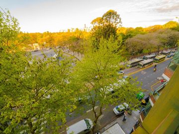 Departamento - Botanico