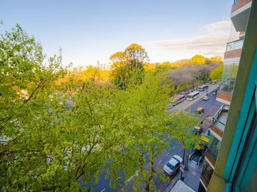 Departamento - Botanico