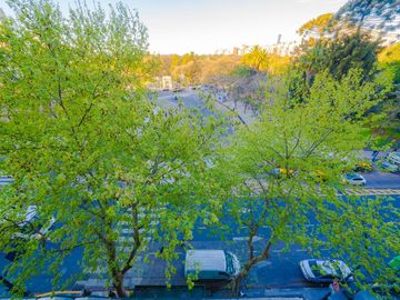 Departamento - Botanico