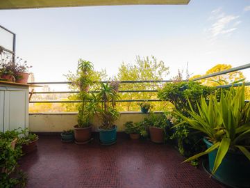 Departamento - Botanico