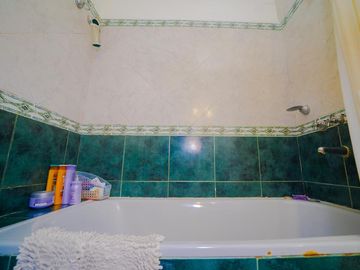 Departamento - Botanico