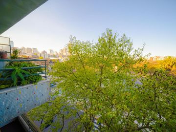 Departamento - Botanico