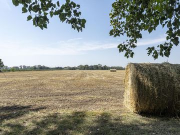 Casa en Exaltacion De La Cruz
