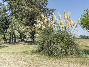 Casa en Exaltacion De La Cruz