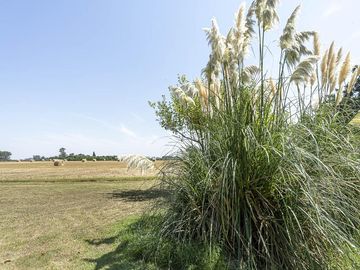 Casa en Exaltacion De La Cruz