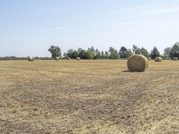 Casa en Exaltacion De La Cruz
