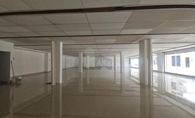 Locales Comerciales en Renta en el Centro de Mérida, Yucatán