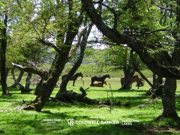 Chacra de 2.8ha  en  Esquel, Patagonia Argentina