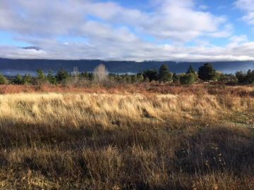 Chacra - Las Golondrinas