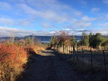 Chacra - Las Golondrinas