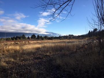 Chacra - Las Golondrinas