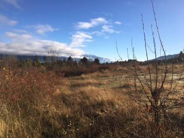 Chacra - Las Golondrinas