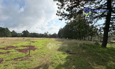 Las Vigas Xalapa Terreno en Venta 20,000m2
