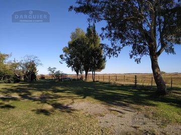 Campo - Punta Indio