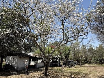 Importante Inmueble en  Cevil Pozo Ruta 302 - Ideal industria, logística y estación de servicios