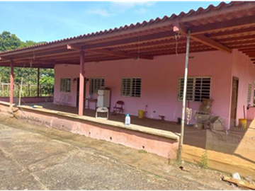 Finca En Venta en Pueblo Nuevo La Chorrera