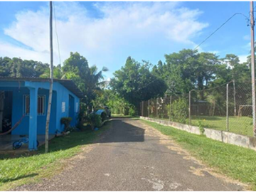Finca En Venta en Pueblo Nuevo La Chorrera