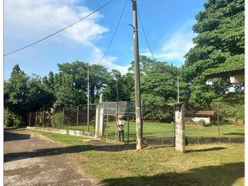 Finca En Venta en Pueblo Nuevo La Chorrera