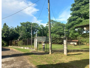 Finca En Venta en Pueblo Nuevo La Chorrera