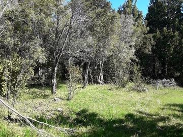 Chacra en  Las Golondrinas