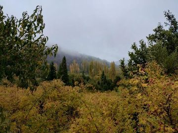 Chacra en  Las Golondrinas