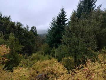 Chacra en  Las Golondrinas