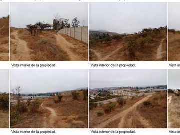 Terreno Construccion  en Venta en Terreno 2 Hás. en Venta – Peñablanca / Ideal Proyecto Inmobiliario