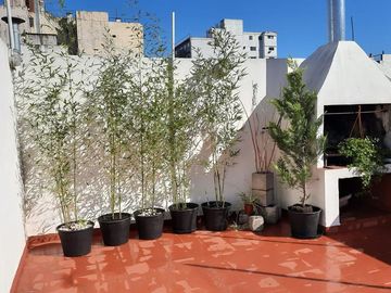 Departamento en venta - 3 Dormitorios 2 Baños - 155Mts2 - San Telmo