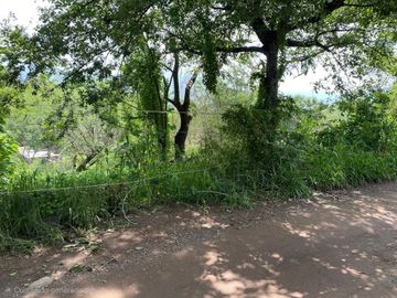 Terreno  en Cajititlán vista panorámica