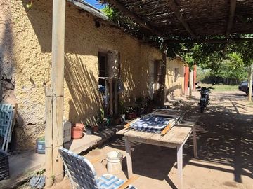 VENTA CAMPO PRODUCTIVO - RIVADAVIA -MENDOZA