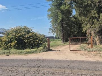 VENTA CAMPO PRODUCTIVO - RIVADAVIA -MENDOZA