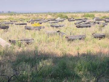 VENTA CAMPO PRODUCTIVO - RIVADAVIA -MENDOZA