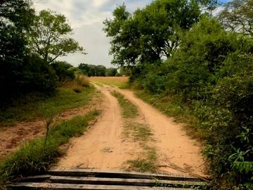 VENTA CAMPO EN RAMADA PASO, CORRIENTES