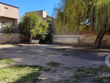 Casa en  Alquiler en centro de Cipolletti ideal para proyectos comerciales consultorios médicos oficinas comerciales