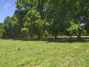 Venta Mejor Terreno Alámos en Estancia Villa Maria 3400m2