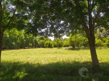 Venta Mejor Terreno Alámos en Estancia Villa Maria 3400m2