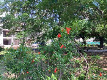 Venta - Departamento - 2 ambientes   -  Pilar -  balcón -  parrilla - pileta - cochera