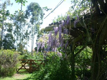 Complejo Turístico en venta 