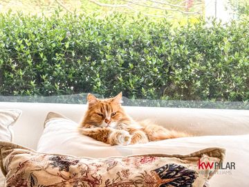 Casa en Venta en Los Cerrillos, Pilar - 6 Ambientes