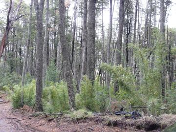 Terreno en Villa La Angostura