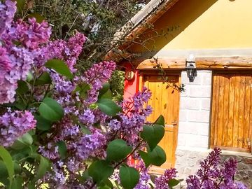 VENTA COMPLEJO DE CABAÑAS EPUYEN