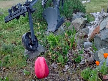 VENTA COMPLEJO DE CABAÑAS EPUYEN