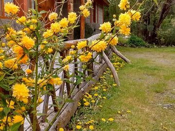 VENTA COMPLEJO DE CABAÑAS EPUYEN