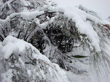 VENTA COMPLEJO DE CABAÑAS EPUYEN