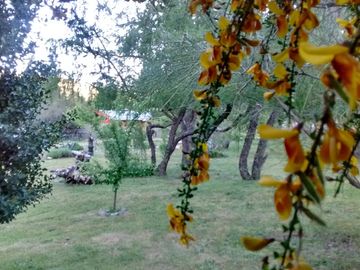 VENTA COMPLEJO DE CABAÑAS EPUYEN