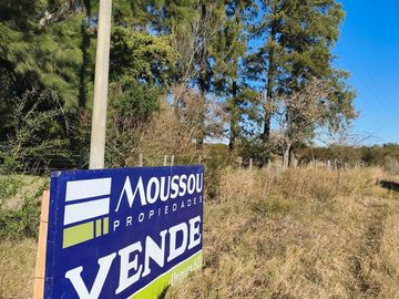 Campo en  Gualeguaychu  sobre colectora de ruta 14
