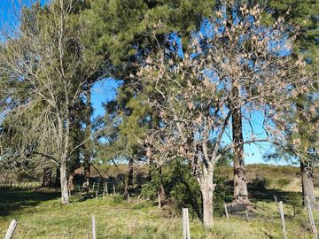 Campo en  Gualeguaychu  sobre colectora de ruta 14