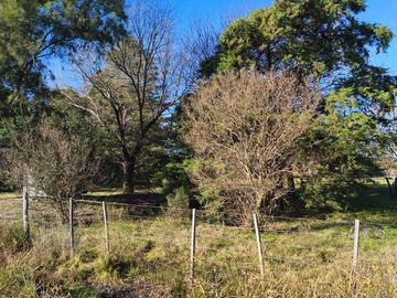 Campo en  Gualeguaychu  sobre colectora de ruta 14