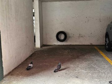 Departamento en venta en CONCEPCIÓN