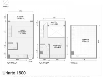 Departamento en  Venta Triplex  Palermo Soho, Categoría Premium, Terraza propia y 2 balcones